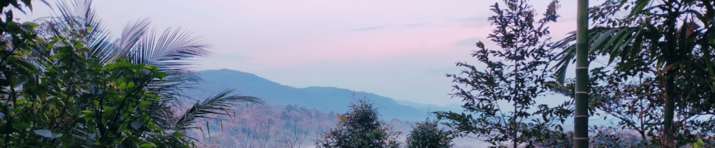 Hued pink and violet sunsent overlooking Sumatran Jungle view with mountains