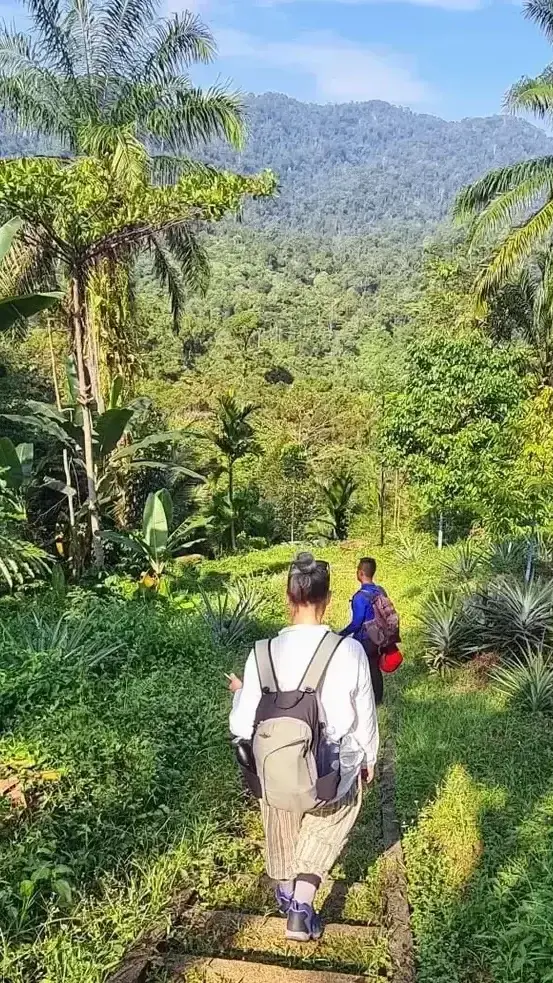 Claire walking down a path overlooking the Sumartran Jungle