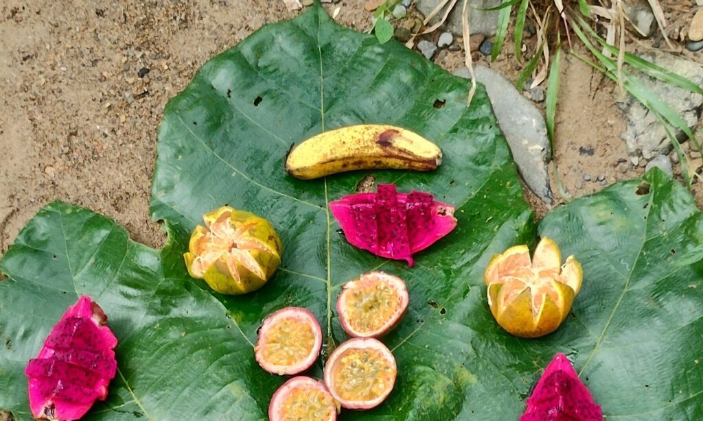 Tropical fruit platter served on a jungle leaf - all scraps taken with us - leave not trace 