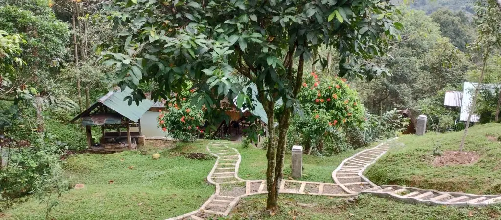 View from Green Hills Eco Lodge balcony