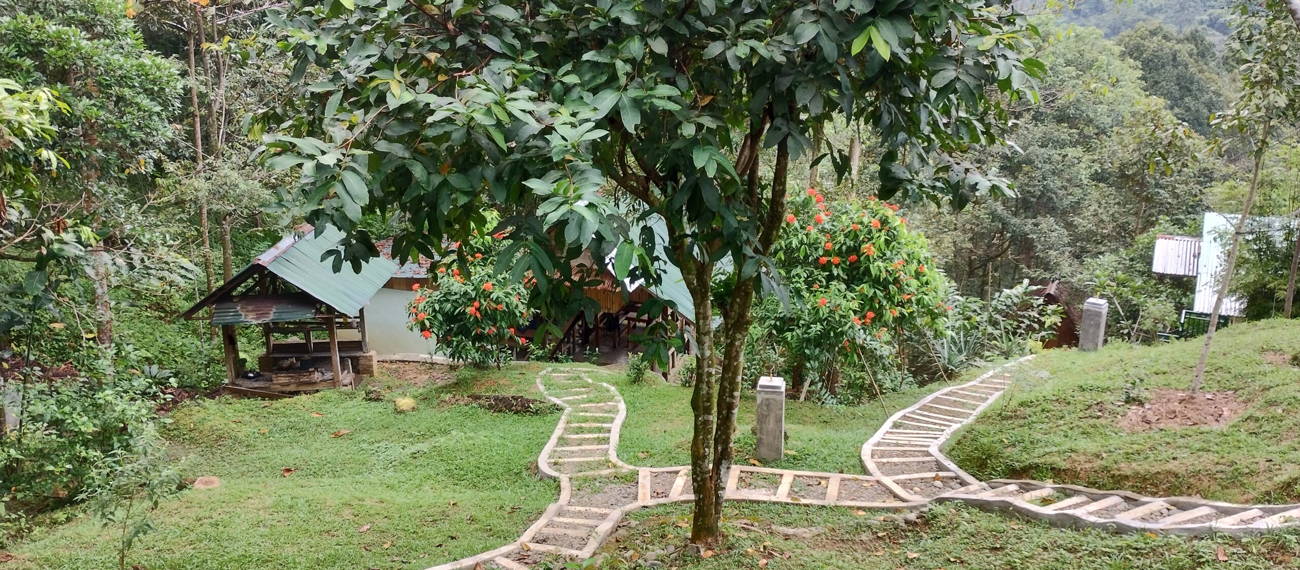 view from green hill eco lodge