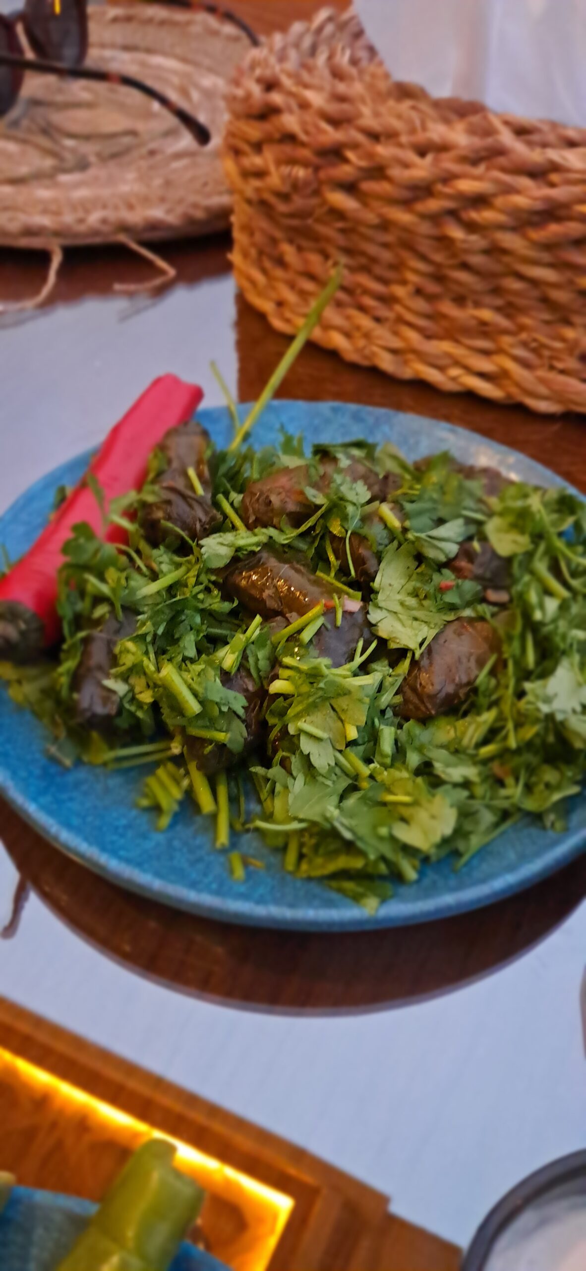 Stuffed vine leaves and fresh salad served in Cairo