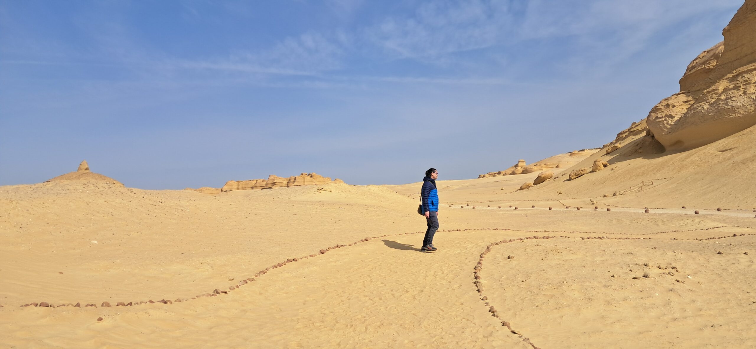 Standing in the desert at Wadi Al-Hitan, the Valley of the Whales, on a private tour leg