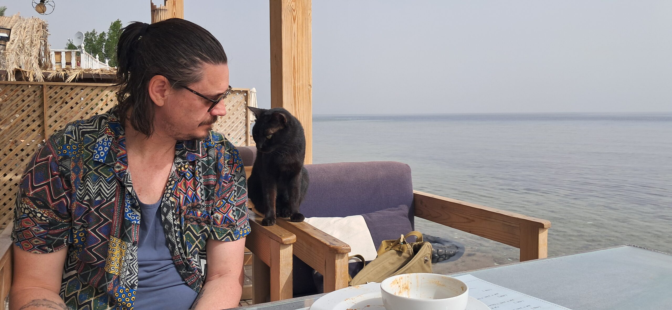 A cat perched on a chair beside a traveller at Penguin Hotel in Dahab, the calm Red Sea behind