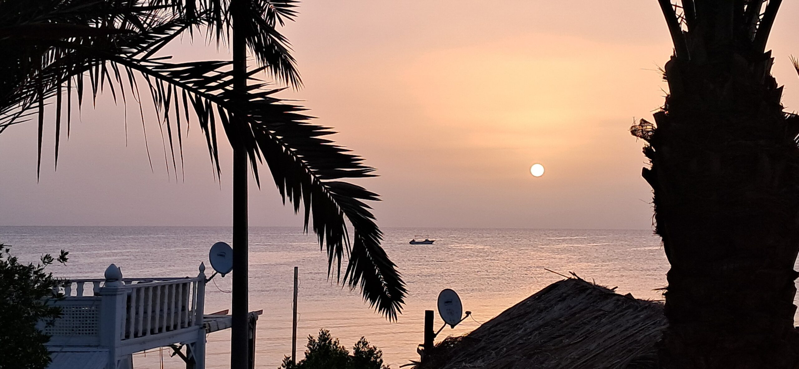 The sun low over the calm Red Sea at Dahab, framed by a palm silhouette, seen from the shore