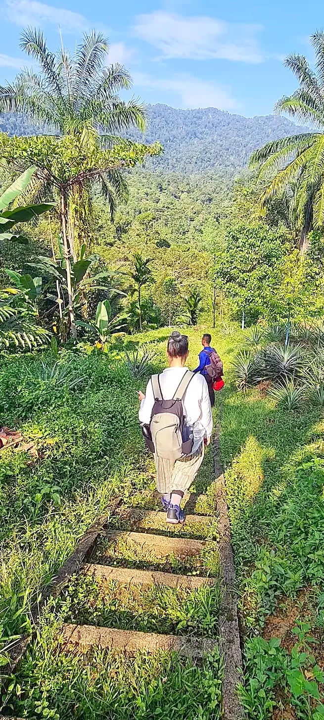 Claire walking down a jungle path behind the guide
