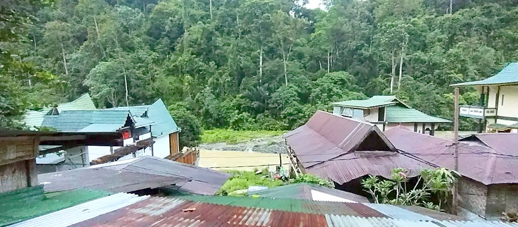 View from Green Hill eco lodge over the Bohorok River, Bukit Lawang, the lodge sits on rewilded former palm oil plantation land