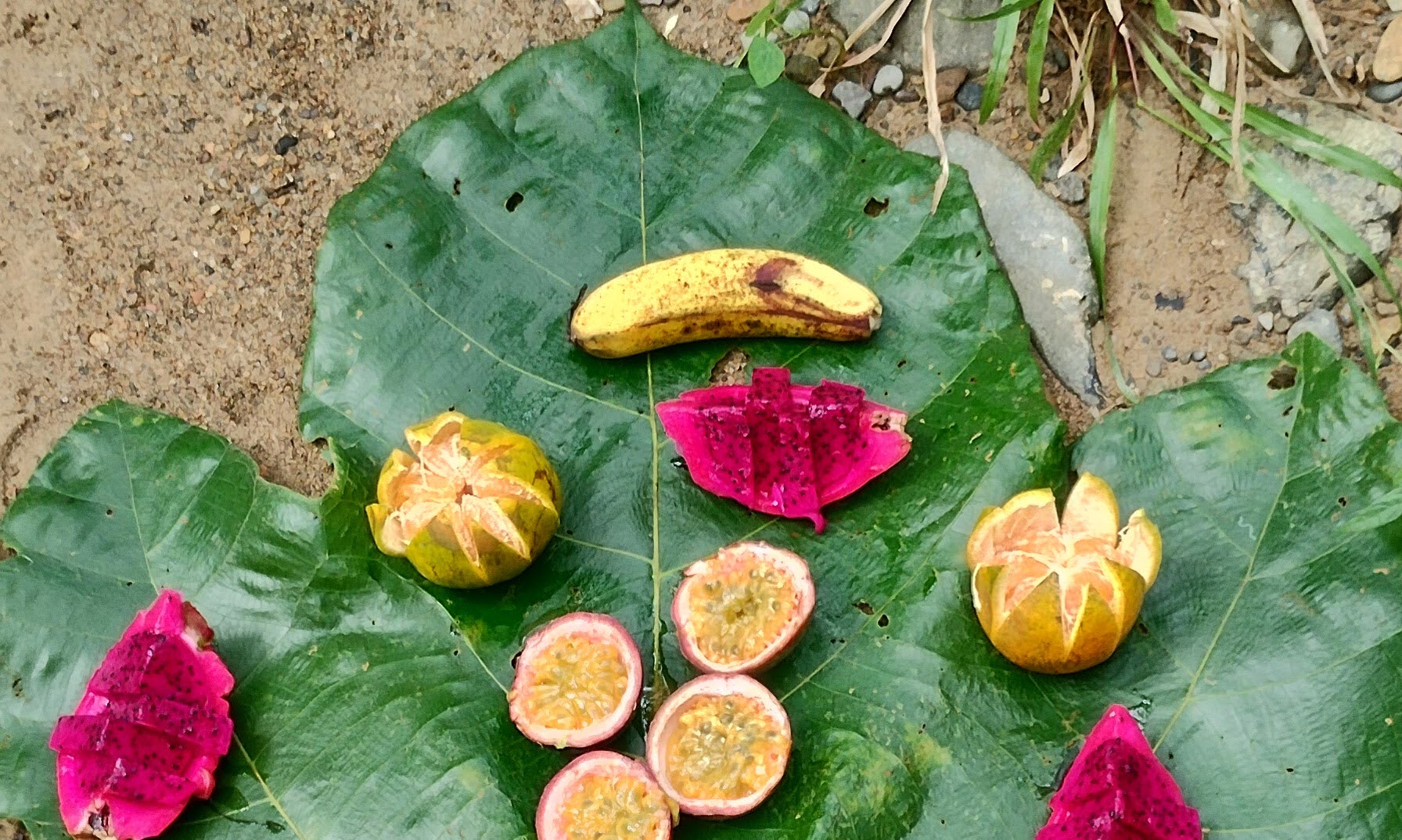 Colourful tropical fruit on a leaf: how to travel as a vegan and still eat local